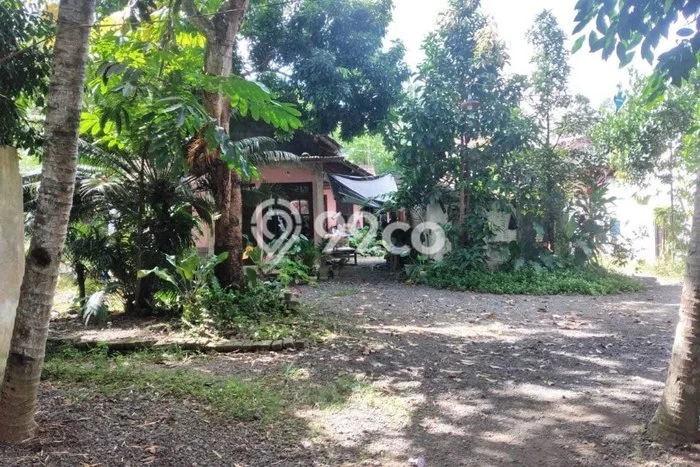 Jual Rumah Murah Meriah Glagah Punya 3 KT & LT 803m2 Jual Rumah Murah Meriah Glagah Punya 3 KT & LT 803m2