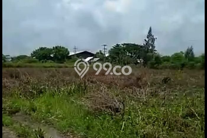Kavling Tanah Dijual di Widang, Tuban, Luas 40000m2 Area Strategis Kavling Tanah Dijual di Widang, Tuban, Luas 40000m2 Area Strategis
