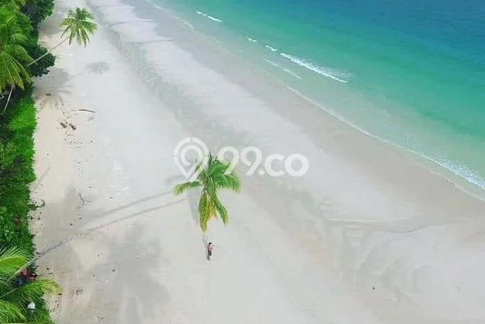 Kavling Tanah Dijual di Kei Kecil Maluku Tenggara Spesifikasi 10000m2 Kavling Tanah Dijual di Kei Kecil Maluku Tenggara Spesifikasi 10000m2