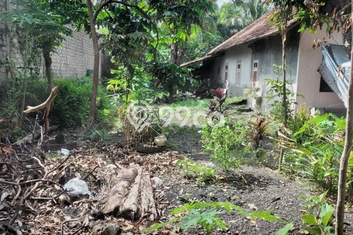 Jual Rumah Murah Meriah Glagah Punya 3 KT & LT 803m2 Jual Rumah Murah Meriah Glagah Punya 3 KT & LT 803m2