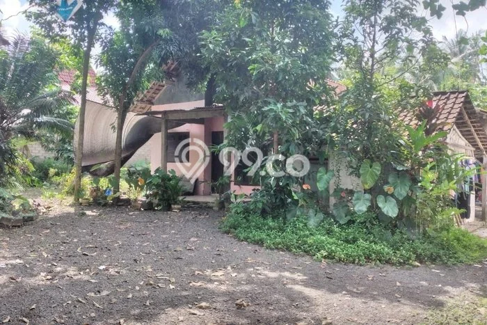 Jual Rumah Murah Meriah Glagah Punya 3 KT & LT 803m2 Jual Rumah Murah Meriah Glagah Punya 3 KT & LT 803m2