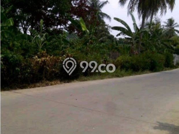 Lahan untuk Dijual Lokasi Serpong, Tangerang Selatan Luas 9450m2 SHM Lahan untuk Dijual Lokasi Serpong, Tangerang Selatan Luas 9450m2 SHM