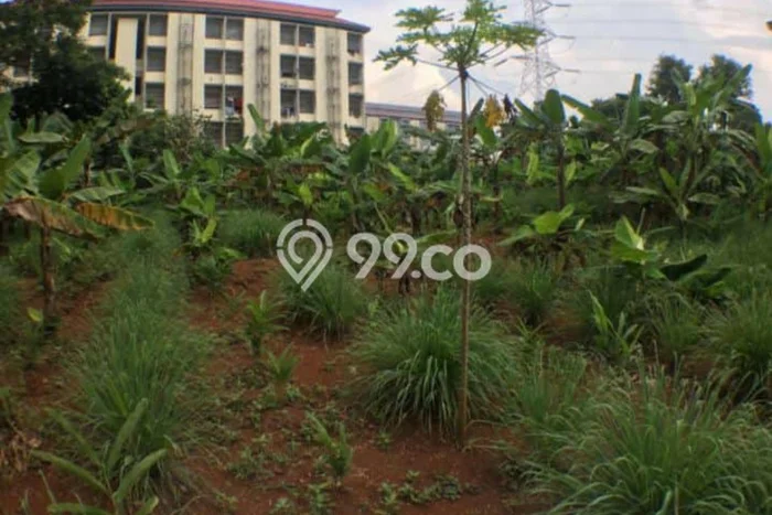 Tanah Kavling Dijual di Cilangkap, Depok dengan Luas Tanah 482m2 Tanah Kavling Dijual di Cilangkap, Depok dengan Luas Tanah 482m2