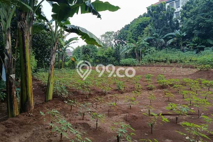 Tanah Kavling Dijual di Cilangkap, Depok dengan Luas Tanah 482m2 Tanah Kavling Dijual di Cilangkap, Depok dengan Luas Tanah 482m2
