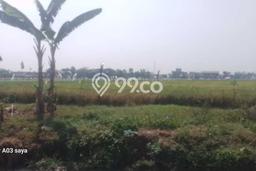 Kavling Tanah Dijual di Cikarang Bekasi Spesifikasi 20000m2 Kavling Tanah Dijual di Cikarang Bekasi Spesifikasi 20000m2