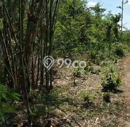 Tanah Dijual Lokasi Tenjo, Bogor Luas 7200m2 Legalitas Aman Tanah Dijual Lokasi Tenjo, Bogor Luas 7200m2 Legalitas Aman