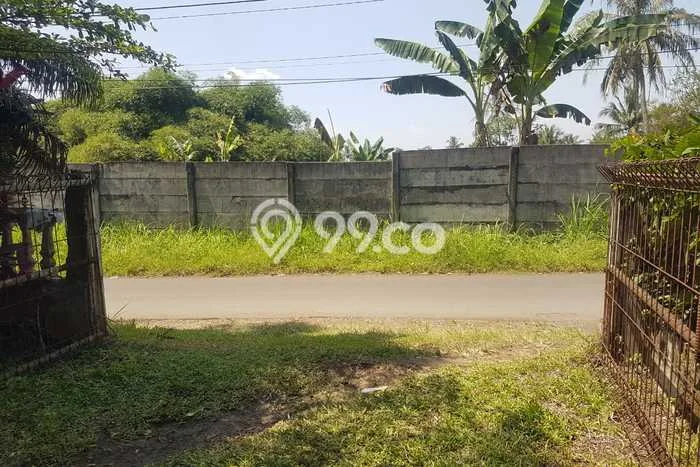 Kavling Tanah Dijual di Ciampea Bogor Spesifikasi 1225m2 Kavling Tanah Dijual di Ciampea Bogor Spesifikasi 1225m2