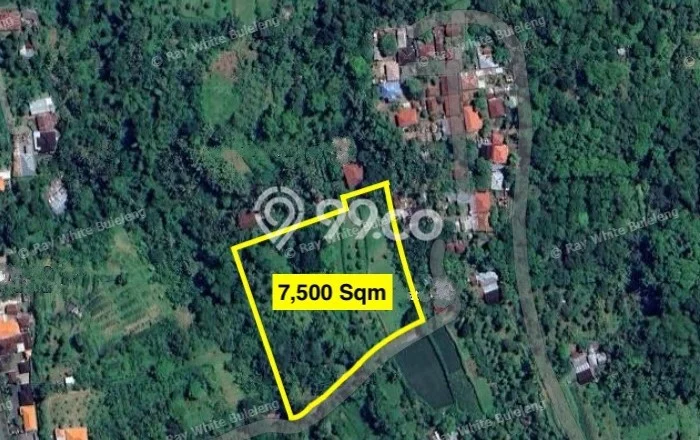 TANAH POTENSIAL! Tanah Kawasan Sawan, Luas 7500m², Jalur Mudah TANAH POTENSIAL! Tanah Kawasan Sawan, Luas 7500m², Jalur Mudah
