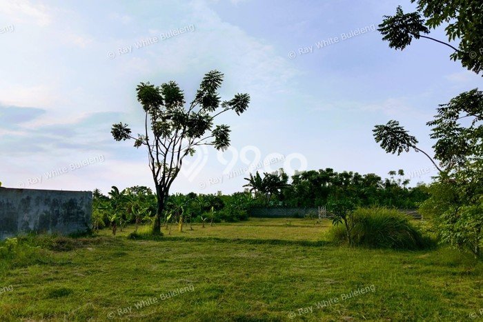 Tanah di Dencarik, Luas 300m², Area Strategis, Kawasan Nyaman, Bebas Banjir Tanah di Dencarik, Luas 300m², Area Strategis, Kawasan Nyaman, Bebas Banjir