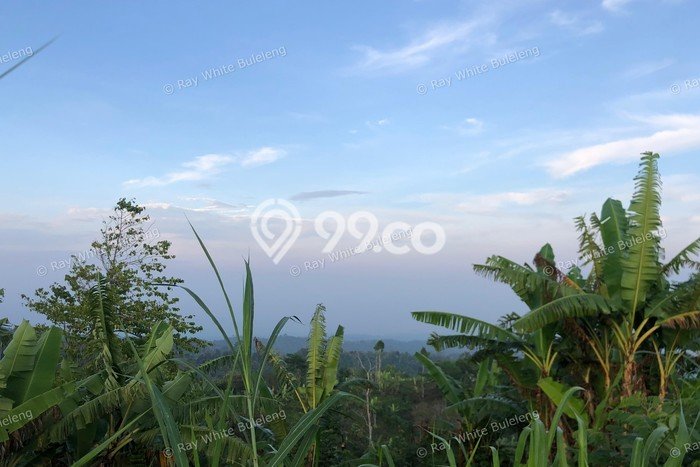 Tanah di Sukasada, Luas 4750m², Kawasan Berkembang, Akses Sukasada, Buleleng, Buleleng Tanah di Sukasada, Luas 4750m², Kawasan Berkembang, Akses Sukasada, Buleleng, Buleleng