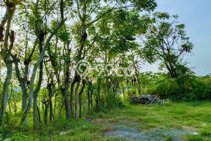 Tanah di Dencarik, Luas 300m², Area Strategis, Kawasan Nyaman, Bebas Banjir Tanah di Dencarik, Luas 300m², Area Strategis, Kawasan Nyaman, Bebas Banjir