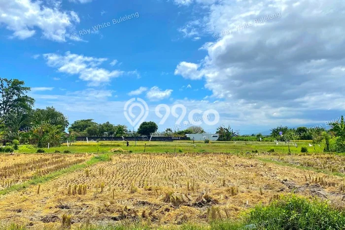 HARGA TERBAIK! Tanah di Kalisada, Luas 2130m², Lokasi Prima HARGA TERBAIK! Tanah di Kalisada, Luas 2130m², Lokasi Prima