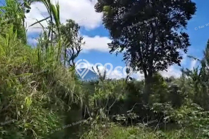 Tanah di Sukasada, Luas 4750m², Kawasan Berkembang, Akses Sukasada, Buleleng, Buleleng Tanah di Sukasada, Luas 4750m², Kawasan Berkembang, Akses Sukasada, Buleleng, Buleleng