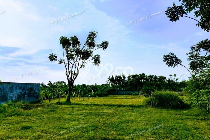 Tanah di Dencarik, Luas 300m², Area Strategis, Kawasan Nyaman, Bebas Banjir Tanah di Dencarik, Luas 300m², Area Strategis, Kawasan Nyaman, Bebas Banjir