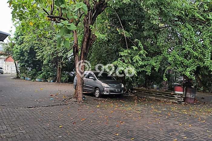 Paling Diincar! Gudang Dijual di Surabaya Kota Harga Kompetitif Paling Diincar! Gudang Dijual di Surabaya Kota Harga Kompetitif