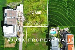 Dijual Tanah di Badung, Luas 1200m2 SHM Dijual Tanah di Badung, Luas 1200m2 SHM
