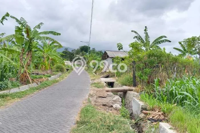 Kavling Tanah di Prigen Dijual Luas 1293m2 Legalitas SHM Kavling Tanah di Prigen Dijual Luas 1293m2 Legalitas SHM