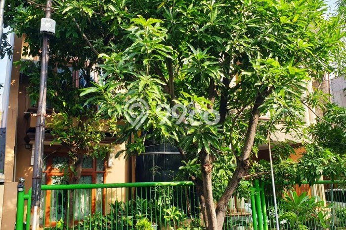 Dijual Rumah Mewah Exclusive di Rungkut, Surabaya Dijual Rumah Mewah Exclusive di Rungkut, Surabaya