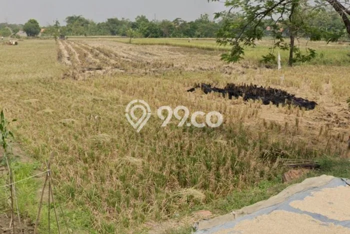 Kavling Tanah Dijual di Jatitujuh Majalengka Spesifikasi 20000m2 Kavling Tanah Dijual di Jatitujuh Majalengka Spesifikasi 20000m2