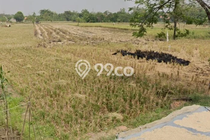 Kavling Tanah Dijual di Jatitujuh Majalengka Spesifikasi 20000m2 Kavling Tanah Dijual di Jatitujuh Majalengka Spesifikasi 20000m2