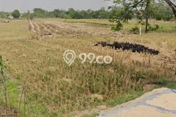 Tanah Kavling untuk Dijual di Jatitujuh Majalengka 20000m2 Tanah Kavling untuk Dijual di Jatitujuh Majalengka 20000m2