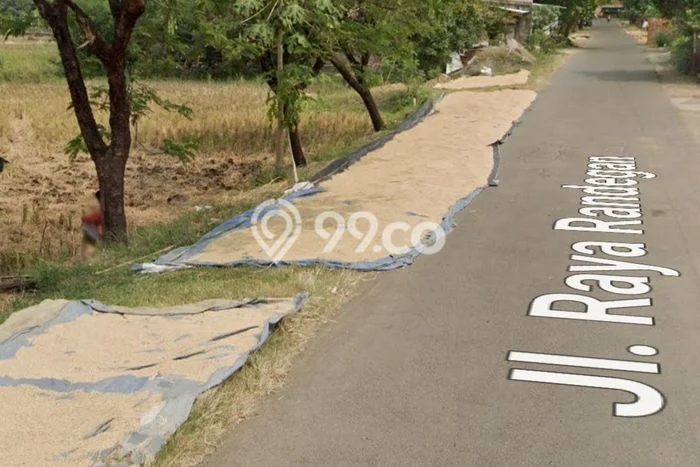 Kavling Tanah Dijual di Jatitujuh Majalengka Spesifikasi 20000m2 Kavling Tanah Dijual di Jatitujuh Majalengka Spesifikasi 20000m2