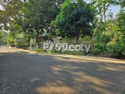 Lahan Strategis di Mijen Dijual dengan Luas 1605m2 Lahan Strategis di Mijen Dijual dengan Luas 1605m2