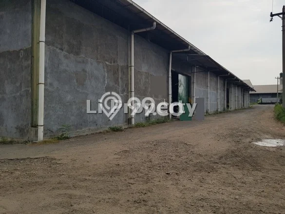 Area Strategis! Disewakan Gudang Lokasi Semarang Barat, Semarang Cocok untuk Bisnis Area Strategis! Disewakan Gudang Lokasi Semarang Barat, Semarang Cocok untuk Bisnis
