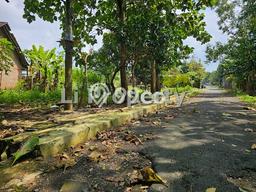 Tanah Kavling untuk Dijual di Mijen Semarang 265m2 Tanah Kavling untuk Dijual di Mijen Semarang 265m2
