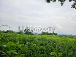Kavling Tanah untuk Dijual di Jangli, Semarang, Luas 311m2 Kavling Tanah untuk Dijual di Jangli, Semarang, Luas 311m2