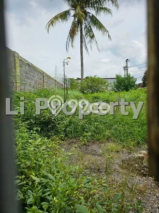 Kavling Tanah Disewakan di Mijen Semarang Luas 436m2 Strategis Kavling Tanah Disewakan di Mijen Semarang Luas 436m2 Strategis