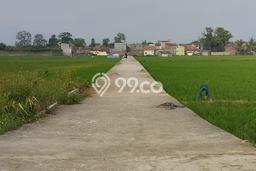 Tanah di Rancaekek, Bandung Luas 3225m2 Dijual Segera Tanah di Rancaekek, Bandung Luas 3225m2 Dijual Segera