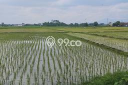 Tanah Kosong Dijual di Bandung dengan Area 3234m2 Tanah Kosong Dijual di Bandung dengan Area 3234m2