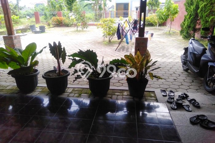 Hunian Mewah 13 KT 5 KM di Kawasan Asri Kasihan, Bantul Hunian Mewah 13 KT 5 KM di Kawasan Asri Kasihan, Bantul