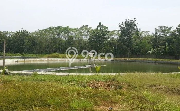 Tanah Dijual Lokasi Carita, Pandeglang dengan Luas Tanah 40000m2 dan Status SHM Tanah Dijual Lokasi Carita, Pandeglang dengan Luas Tanah 40000m2 dan Status SHM