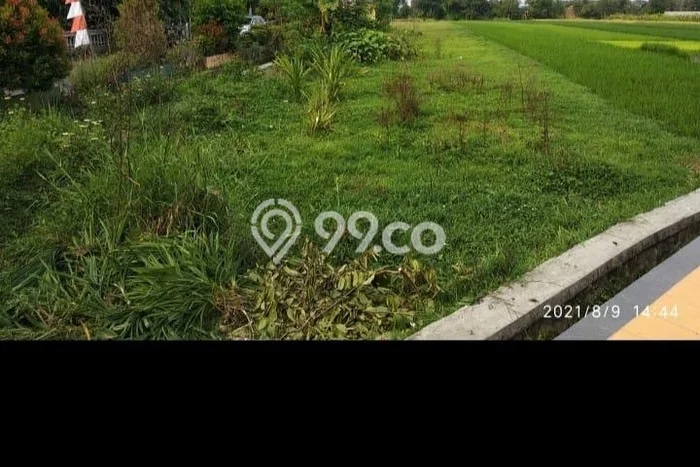Tanah Strategis di Gemolong, Luas 3867m², Dekat Gemolong, Sragen, Sragen Tanah Strategis di Gemolong, Luas 3867m², Dekat Gemolong, Sragen, Sragen
