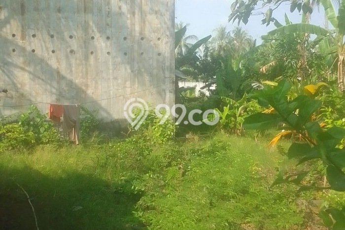 Kavling Tanah di Panimbang Dijual Luas 4230m2 Legalitas SHM Kavling Tanah di Panimbang Dijual Luas 4230m2 Legalitas SHM