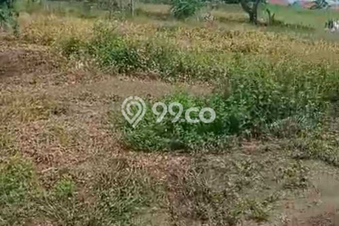 Lahan Kosong Dijual di Siak Hulu, Kampar, Luas 12180m2 Area Strategis Lahan Kosong Dijual di Siak Hulu, Kampar, Luas 12180m2 Area Strategis