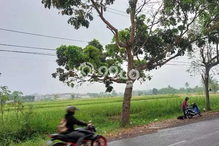 Tanah Strategis Dijual di Karangtengah Cianjur 66109m2 Tanah Strategis Dijual di Karangtengah Cianjur 66109m2