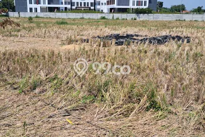 Tanah Dijual Lokasi Majalaya, Karawang dengan Luas Tanah 5621m2 dan Status SHM Tanah Dijual Lokasi Majalaya, Karawang dengan Luas Tanah 5621m2 dan Status SHM