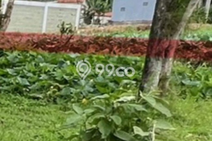 Tanah Dijual Lokasi Parongpong, Bandung Barat Luas 570m2 Legalitas Aman Tanah Dijual Lokasi Parongpong, Bandung Barat Luas 570m2 Legalitas Aman