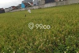 Kavling Tanah di Sepatan Dijual Luas 2410m2 Legalitas SHM Kavling Tanah di Sepatan Dijual Luas 2410m2 Legalitas SHM