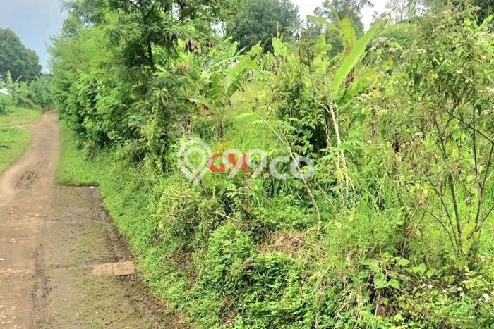 Tanah di Cimahi Utara, Cimahi Luas 9040m2 Dijual Segera Tanah di Cimahi Utara, Cimahi Luas 9040m2 Dijual Segera