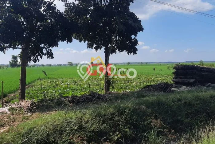 Kavling Tanah Dijual di Jatitujuh Majalengka Spesifikasi 12010m2 Kavling Tanah Dijual di Jatitujuh Majalengka Spesifikasi 12010m2