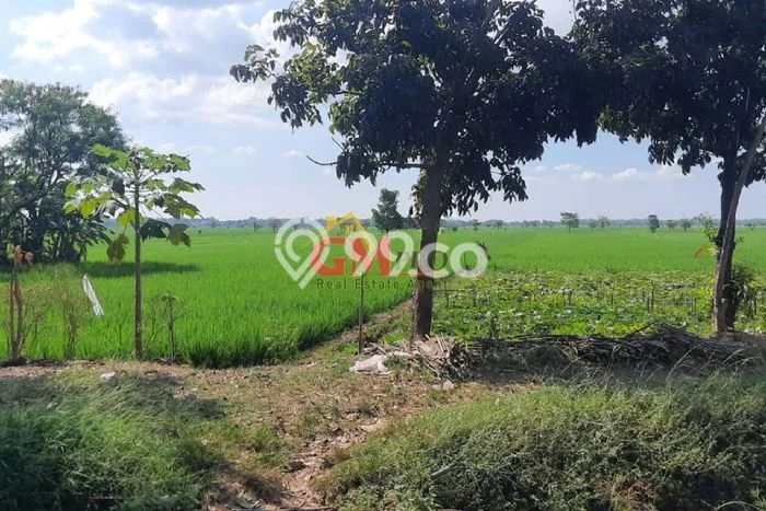 Kavling Tanah Dijual di Jatitujuh Majalengka Spesifikasi 12010m2 Kavling Tanah Dijual di Jatitujuh Majalengka Spesifikasi 12010m2