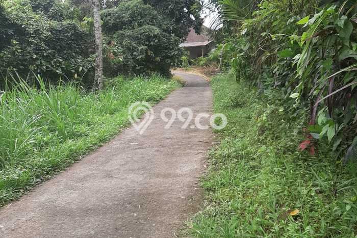 Tanah Kavling untuk Dijual di Tabanan Tabanan 6200m2 Tanah Kavling untuk Dijual di Tabanan Tabanan 6200m2