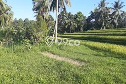 Tanah Strategis Disewakan di Tabanan Tabanan Seluas 28000m2 Tanah Strategis Disewakan di Tabanan Tabanan Seluas 28000m2