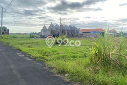Tanah di Sanur Kauh, Denpasar Luas 560m2 Dijual Segera Tanah di Sanur Kauh, Denpasar Luas 560m2 Dijual Segera