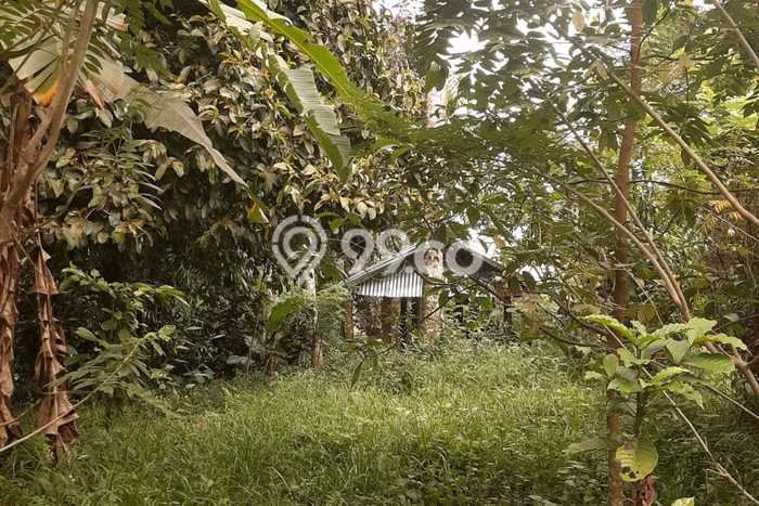 Tanah Kavling untuk Dijual di Tabanan Tabanan 6200m2 Tanah Kavling untuk Dijual di Tabanan Tabanan 6200m2