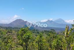 Kavling Tanah Dijual di Belatungan, Tabanan, Luas 9700m2 Area Strategis Kavling Tanah Dijual di Belatungan, Tabanan, Luas 9700m2 Area Strategis